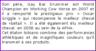 Zone de Texte: Son pre, Gay Bar Drummer est World Champion en Working Cow Horse en 2007 et il a remport le prestigieux prix  Oscar Griggle  qui rcompense le meilleur cheval de btail . Il a t galement lu meilleur cheval  en 2008 au sein de la APHA. Cet talon tobiano combine des performances athltiques et de magnifiques couleurs quil transmet  ses produits.